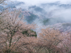 夢幻の如く