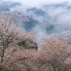 夢幻の如く