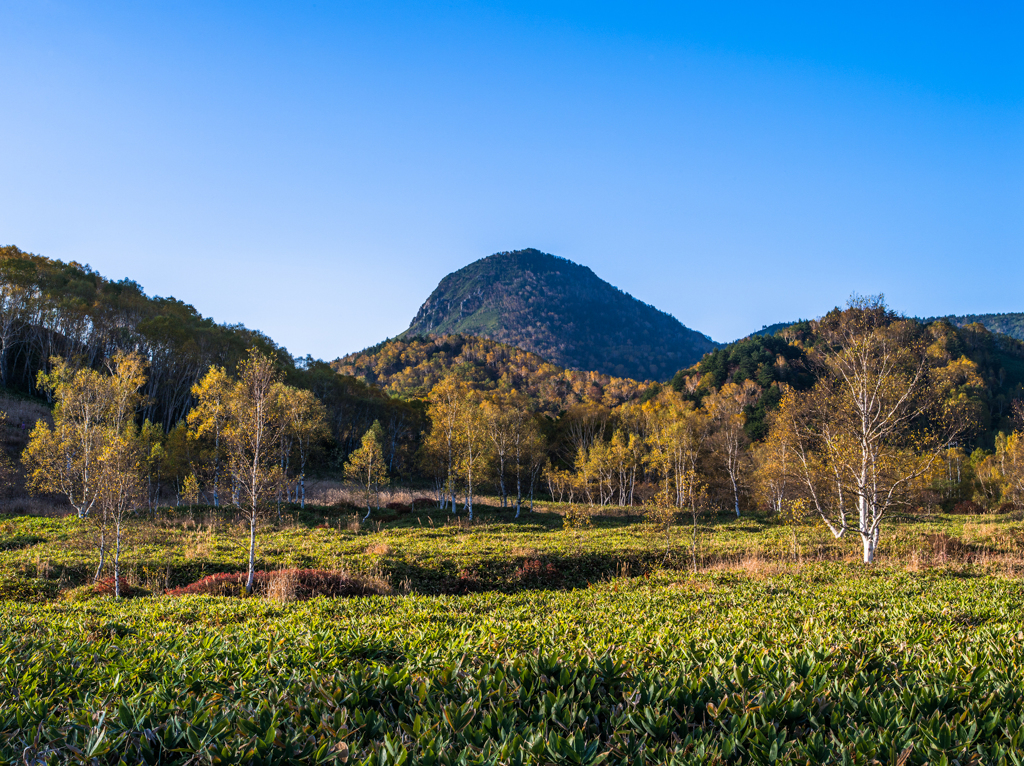田ノ原湿原の朝