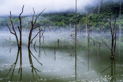 幻想の自然湖