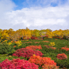 乗鞍紅葉８