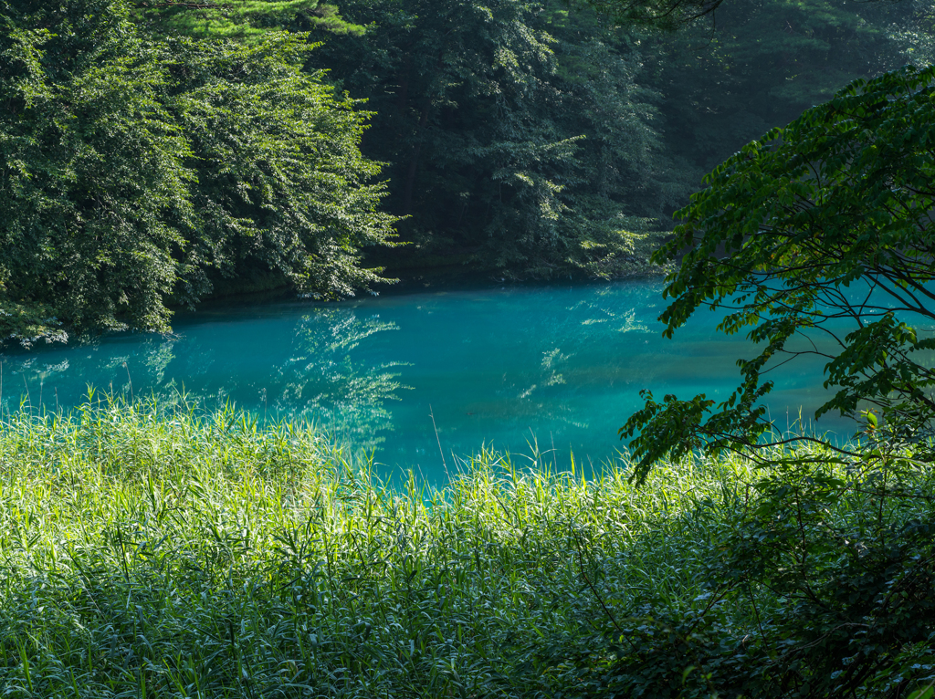 五色沼２