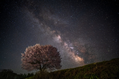 桜と天の川