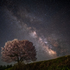 桜と天の川
