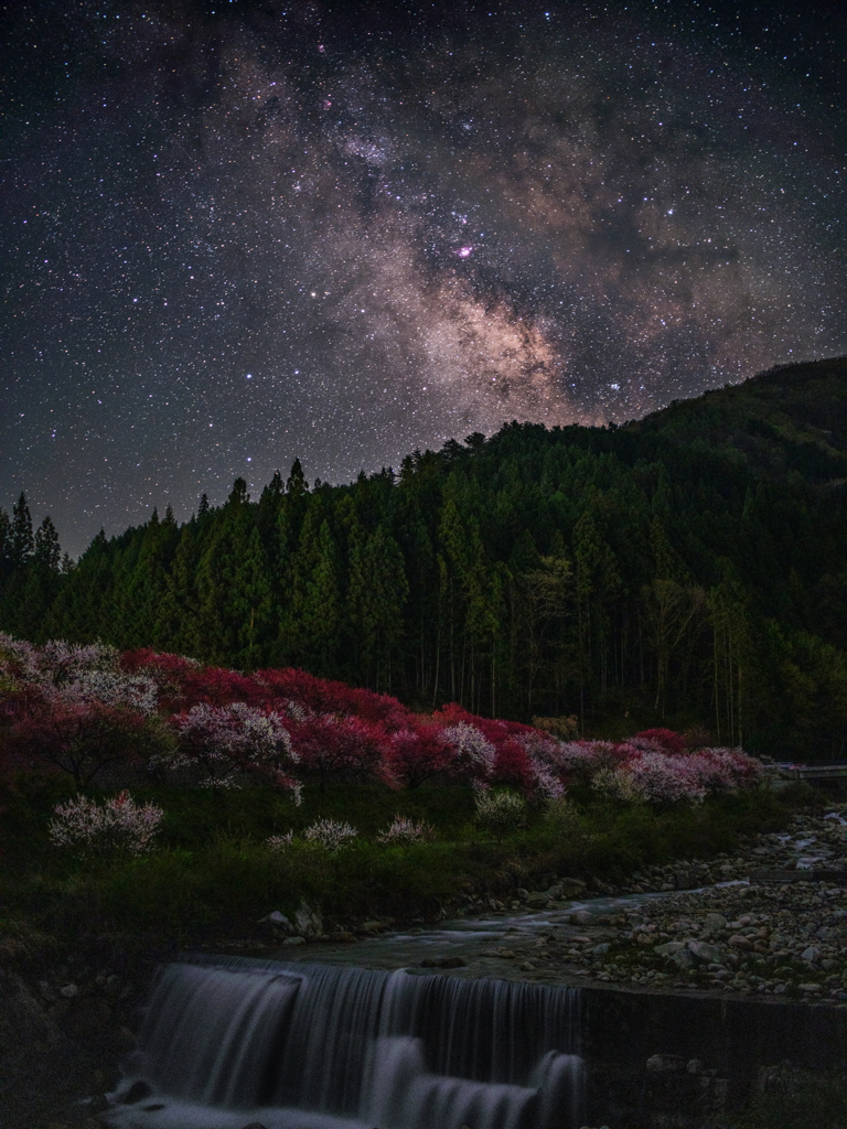 桃源郷の星空２