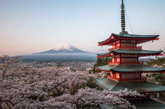 富士と桜