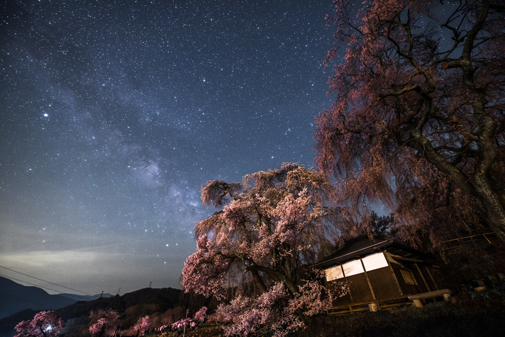 桜と天の川