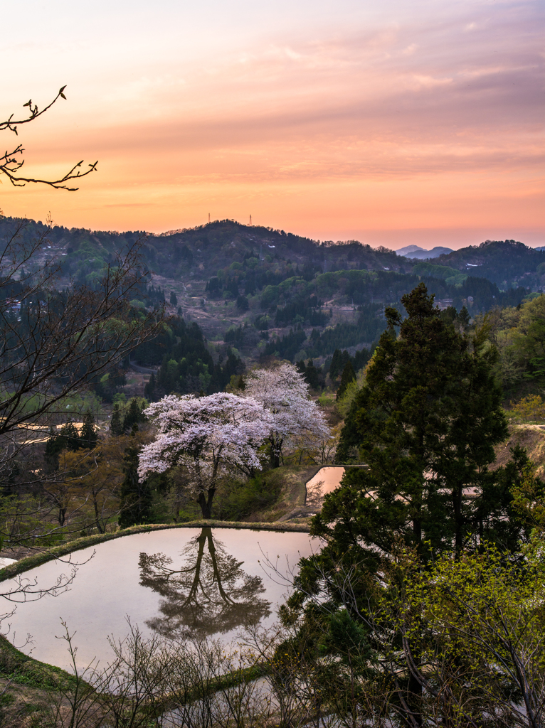 儀明の夕焼け
