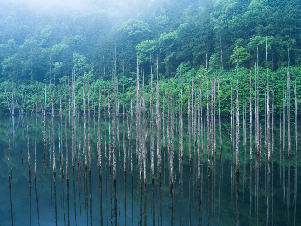 雨上がりの自然湖①