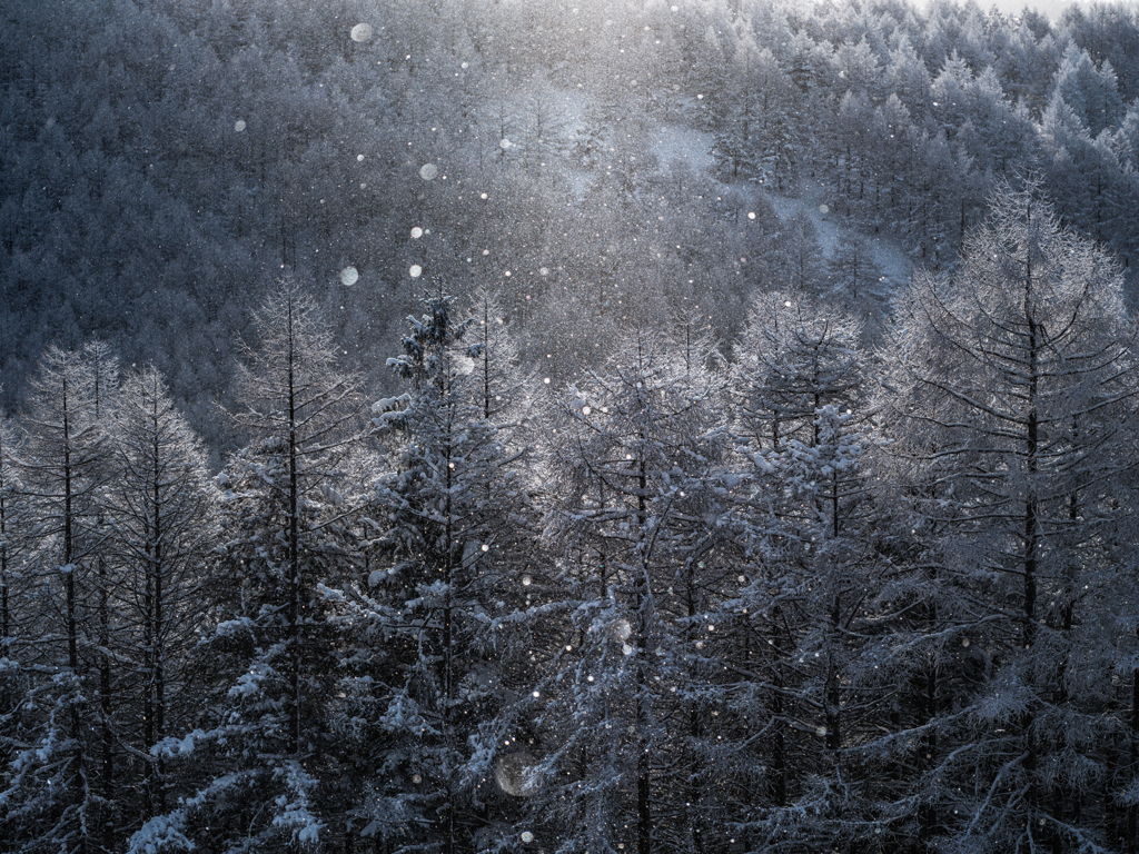 ダイヤモンドダスト２