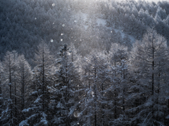 ダイヤモンドダスト２