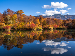 紅葉の鎌池