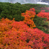 乗鞍紅葉６