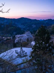 儀明の桜～魔法の時間