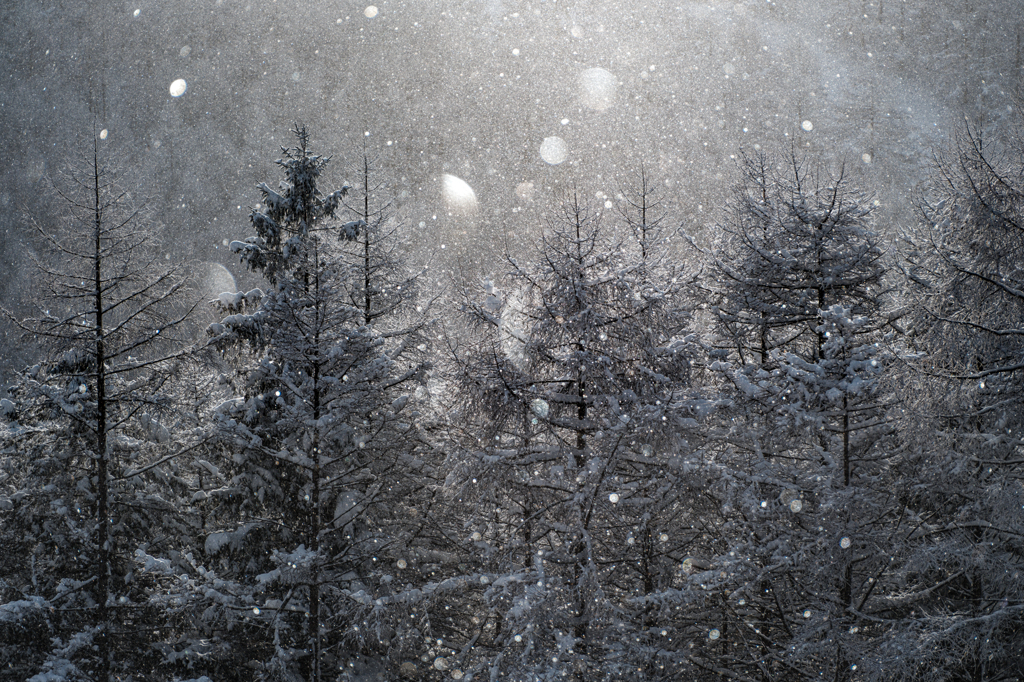 ダイヤモンドダスト