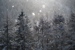 ダイヤモンドダスト