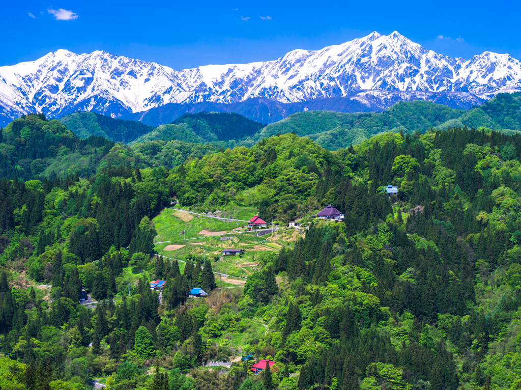 新緑の小川村１