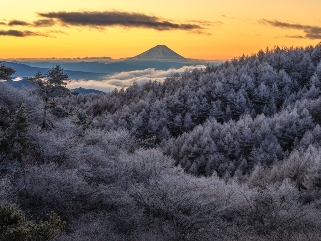 霧氷と富士