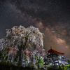 しだれ桜と天の川