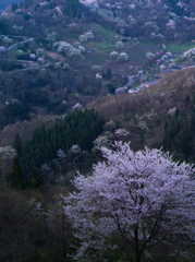 桜仙峡