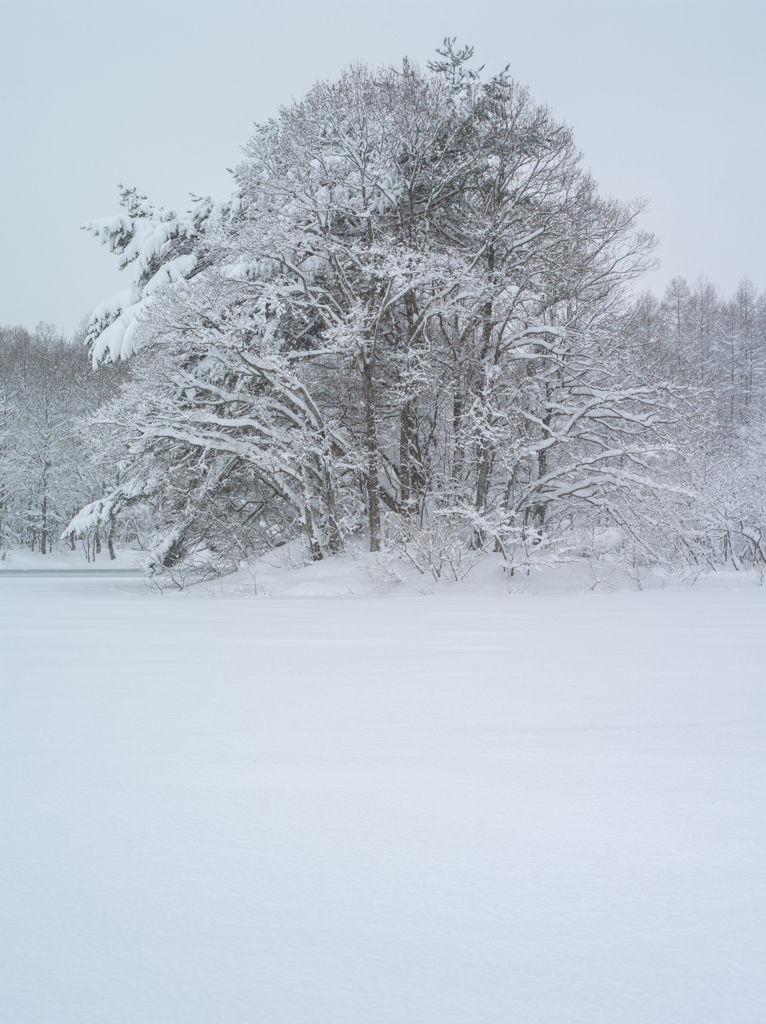 小野川湖畔にて３