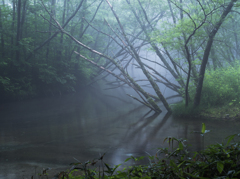 幻想大正池１