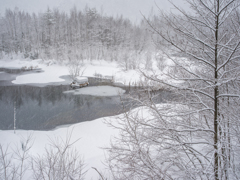 雪の降る水辺で①