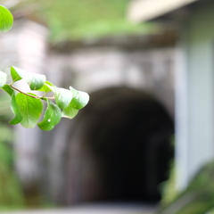 DSCF0085