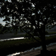 DSCF0066