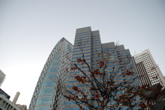 DSC_1461