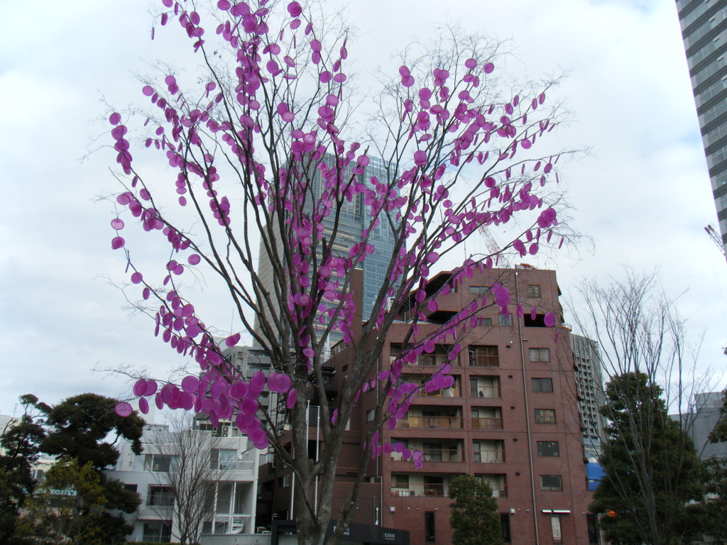 2009_0228_141925-DSCF0029