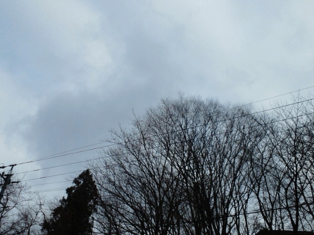 2010120713470000