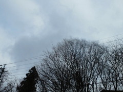 2010120713470000