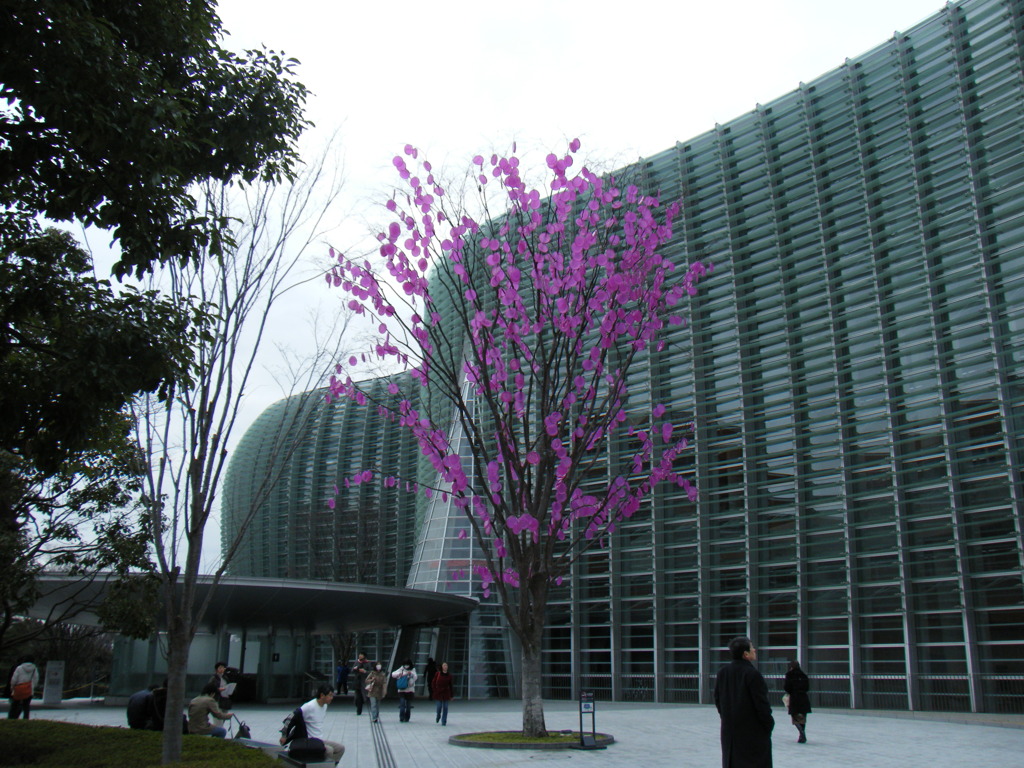 2009_0228_150325-DSCF0030