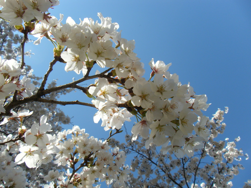 2009_0411_152950-DSCF0161