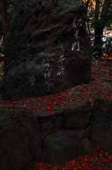 もみじ寺９