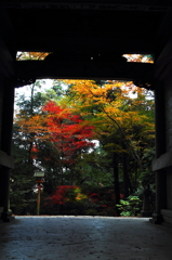 もみじ寺１