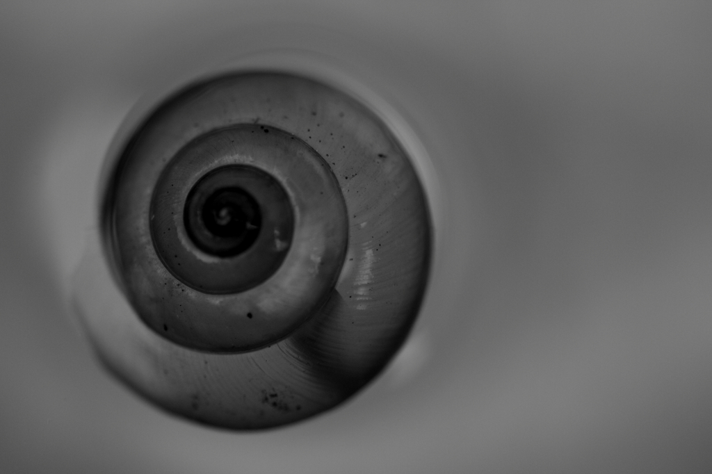 an empty shell