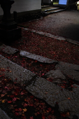 もみじ寺４