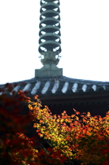 もみじ寺１２