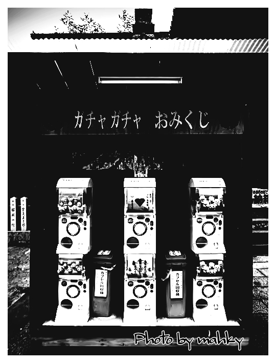 RIMG0138