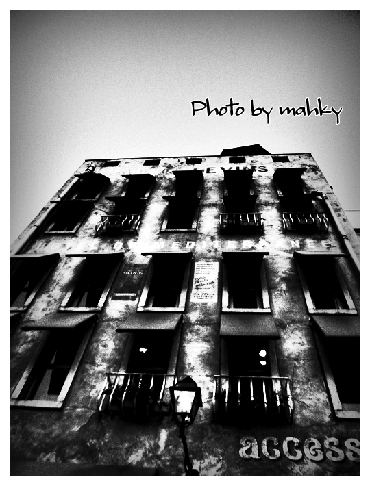 RIMG0445