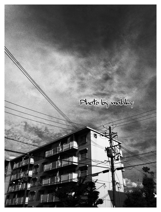 RIMG0249