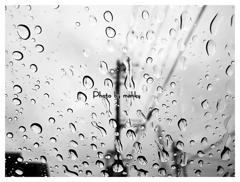 雨
