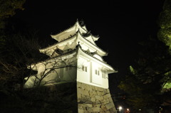 津のお城