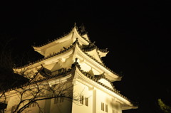 津のお城