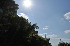 １２月の太陽　in Okinawa.