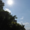 １２月の太陽　in Okinawa.