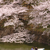春逢瀬