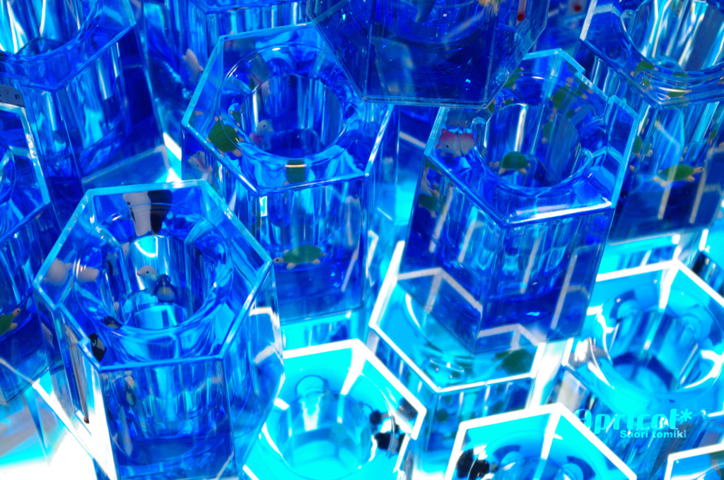 blue!blue!blue!